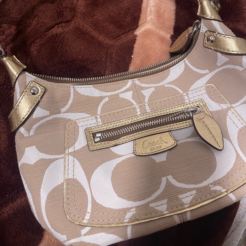 Vintage Coach Bag